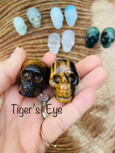 Load image into Gallery viewer, Skulls