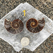 Load image into Gallery viewer, Ammonite Fossil Pairs - Amethyst Aura Moon