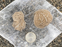 Load image into Gallery viewer, Desert Rose - Amethyst Aura Moon