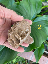 Load image into Gallery viewer, Desert Rose - Amethyst Aura Moon