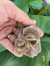 Load image into Gallery viewer, Desert Rose - Amethyst Aura Moon