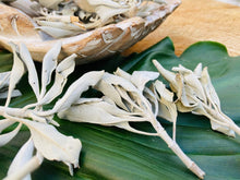 Load image into Gallery viewer, White Sage - Amethyst Aura Moon