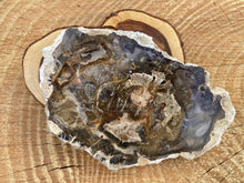 Load image into Gallery viewer, Petrified Wood Slabs - Amethyst Aura Moon