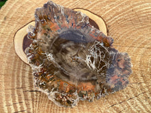Load image into Gallery viewer, Petrified Wood Slabs - Amethyst Aura Moon