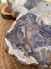 Load image into Gallery viewer, Petrified Wood Slabs - Amethyst Aura Moon