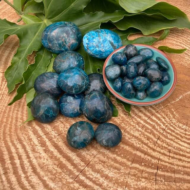 Blue Apatite Tumbles and Palm Stones - Amethyst Aura Moon