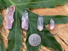 Load image into Gallery viewer, Vera Cruz Amethyst Points
