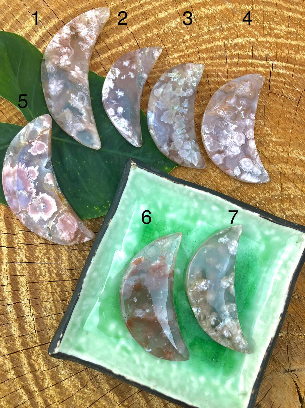 Flower Agate Moons